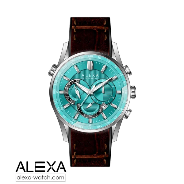 alexa watch.com 3017 2